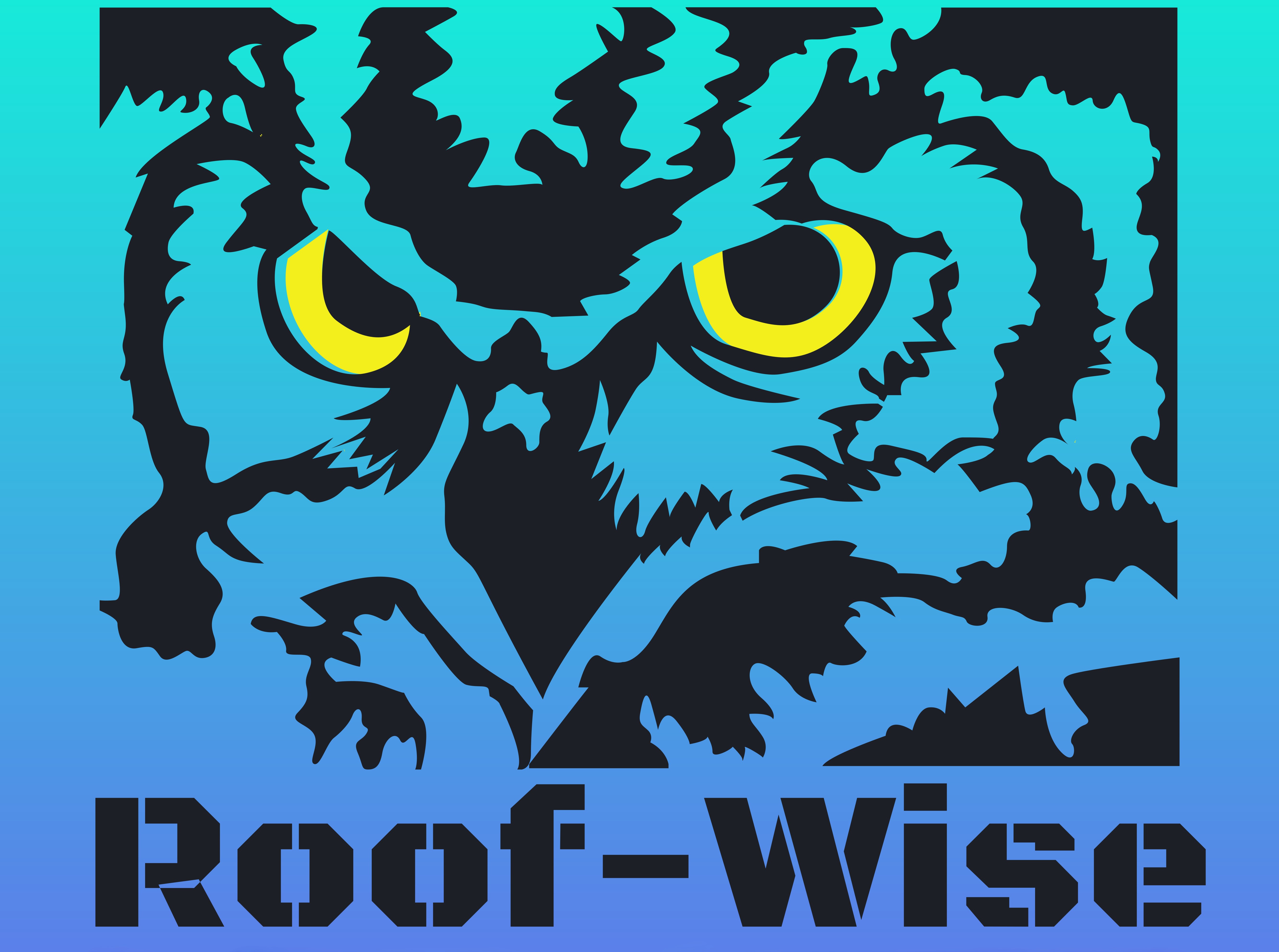 Roof Wise LLC